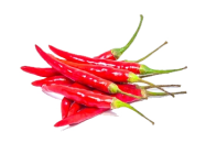 Chilly Red Bird (Thai)